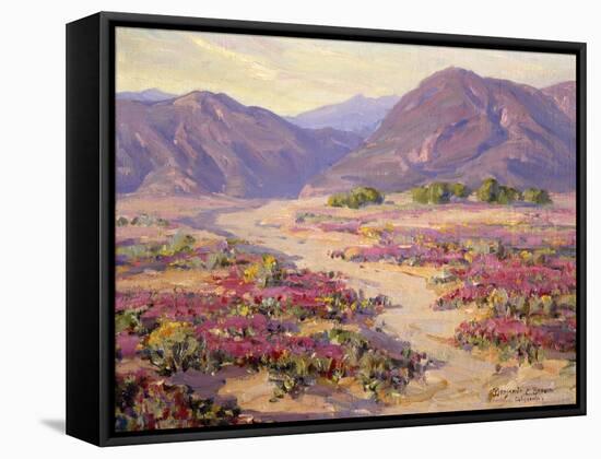 Spring Bloom in the Desert-Benjamin Chambers-Framed Stretched Canvas