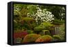 Spring Bloom, Portland Japanese Garden, Portland, Oregon, Usa-Michel Hersen-Framed Stretched Canvas