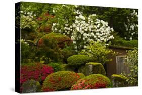 Spring Bloom, Portland Japanese Garden, Portland, Oregon, Usa-Michel Hersen-Stretched Canvas