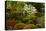 Spring Bloom, Portland Japanese Garden, Portland, Oregon, Usa-Michel Hersen-Stretched Canvas