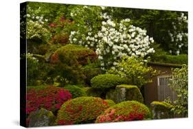 Spring Bloom, Portland Japanese Garden, Portland, Oregon, Usa-Michel Hersen-Stretched Canvas