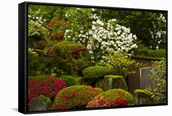 Spring Bloom, Portland Japanese Garden, Portland, Oregon, Usa-Michel Hersen-Framed Stretched Canvas