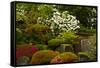 Spring Bloom, Portland Japanese Garden, Portland, Oregon, Usa-Michel Hersen-Framed Stretched Canvas