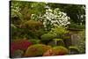 Spring Bloom, Portland Japanese Garden, Portland, Oregon, Usa-Michel Hersen-Stretched Canvas