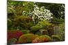 Spring Bloom, Portland Japanese Garden, Portland, Oregon, Usa-Michel Hersen-Mounted Photographic Print