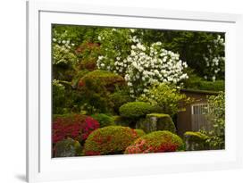 Spring Bloom, Portland Japanese Garden, Portland, Oregon, Usa-Michel Hersen-Framed Photographic Print