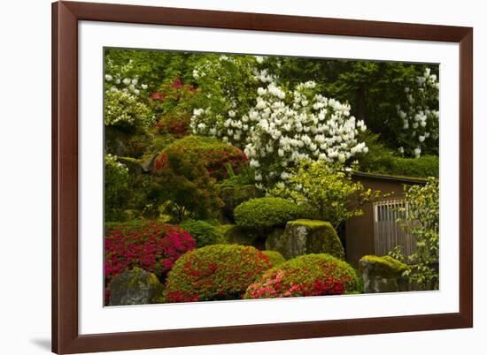 Spring Bloom, Portland Japanese Garden, Portland, Oregon, Usa-Michel Hersen-Framed Photographic Print