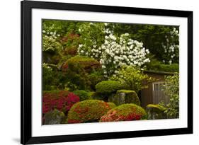 Spring Bloom, Portland Japanese Garden, Portland, Oregon, Usa-Michel Hersen-Framed Photographic Print