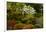 Spring Bloom, Portland Japanese Garden, Portland, Oregon, Usa-Michel Hersen-Framed Photographic Print