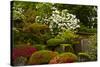 Spring Bloom, Portland Japanese Garden, Portland, Oregon, Usa-Michel Hersen-Stretched Canvas