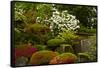 Spring Bloom, Portland Japanese Garden, Portland, Oregon, Usa-Michel Hersen-Framed Stretched Canvas