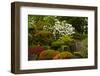 Spring Bloom, Portland Japanese Garden, Portland, Oregon, Usa-Michel Hersen-Framed Photographic Print