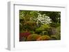 Spring Bloom, Portland Japanese Garden, Portland, Oregon, Usa-Michel Hersen-Framed Photographic Print