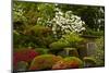 Spring Bloom, Portland Japanese Garden, Portland, Oregon, Usa-Michel Hersen-Mounted Photographic Print