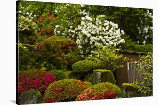 Spring Bloom, Portland Japanese Garden, Portland, Oregon, Usa-Michel Hersen-Stretched Canvas