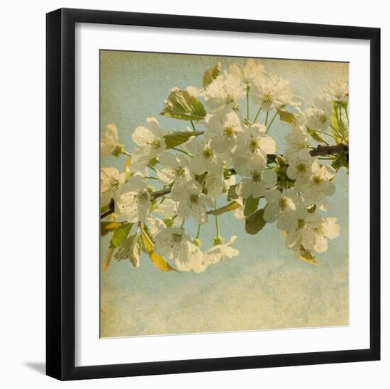 Spring Bloom-null-Framed Art Print