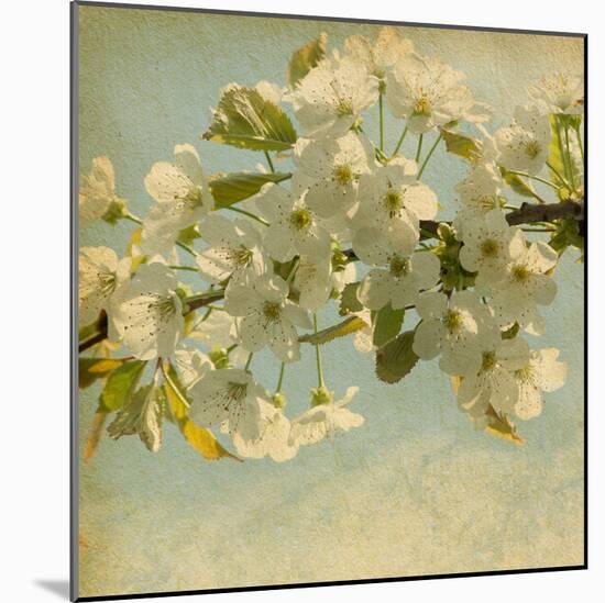 Spring Bloom-null-Mounted Art Print