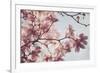 Spring Bloom-Irene Suchocki-Framed Giclee Print