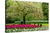 Spring Blooming Tree in Garden-neirfy-Stretched Canvas