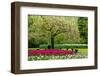 Spring Blooming Tree in Garden-neirfy-Framed Photographic Print