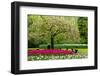 Spring Blooming Tree in Garden-neirfy-Framed Photographic Print