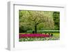 Spring Blooming Tree in Garden-neirfy-Framed Photographic Print