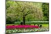 Spring Blooming Tree in Garden-neirfy-Mounted Photographic Print