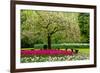 Spring Blooming Tree in Garden-neirfy-Framed Photographic Print