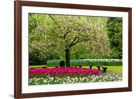 Spring Blooming Tree in Garden-neirfy-Framed Photographic Print