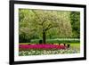 Spring Blooming Tree in Garden-neirfy-Framed Photographic Print