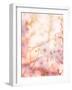 Spring Blooming Tree-Anna Omelchenko-Framed Photographic Print