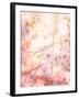 Spring Blooming Tree-Anna Omelchenko-Framed Photographic Print