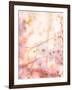 Spring Blooming Tree-Anna Omelchenko-Framed Photographic Print