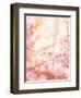 Spring Blooming Tree-Anna Omelchenko-Framed Photographic Print