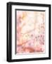 Spring Blooming Tree-Anna Omelchenko-Framed Photographic Print