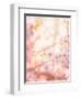 Spring Blooming Tree-Anna Omelchenko-Framed Photographic Print