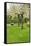 Spring Blooming Trees-neirfy-Framed Stretched Canvas