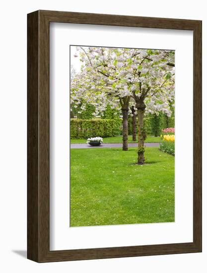 Spring Blooming Trees-neirfy-Framed Photographic Print