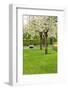 Spring Blooming Trees-neirfy-Framed Photographic Print