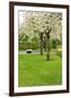 Spring Blooming Trees-neirfy-Framed Photographic Print