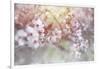 Spring Blooms 04-LightBoxJournal-Framed Giclee Print