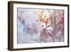 Spring Blooms 05-LightBoxJournal-Framed Giclee Print