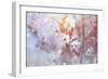 Spring Blooms 05-LightBoxJournal-Framed Giclee Print