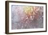 Spring Blooms 07-LightBoxJournal-Framed Giclee Print