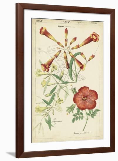 Spring Blooms I-Dietrich-Framed Art Print