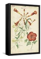Spring Blooms I-Dietrich-Framed Stretched Canvas