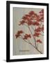 Spring Blooms II-Herb Dickinson-Framed Photographic Print