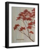 Spring Blooms II-Herb Dickinson-Framed Photographic Print