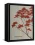 Spring Blooms II-Herb Dickinson-Framed Stretched Canvas