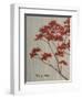 Spring Blooms II-Herb Dickinson-Framed Photographic Print